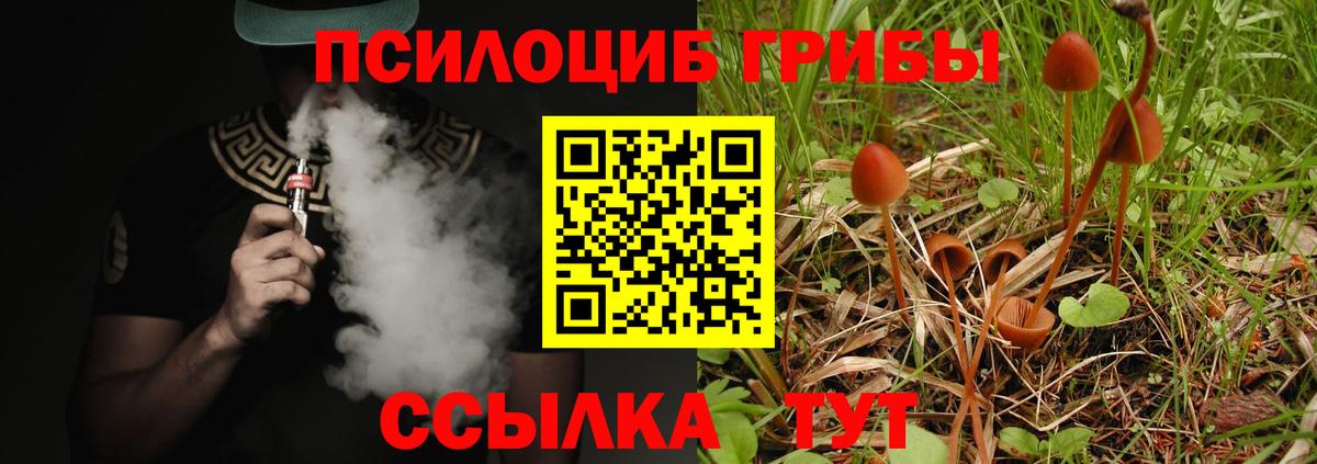Псилоцибиновые грибы Psilocybine cubensis  Вход с VPN  Березники  Псилоцибиновые грибы Magic Shrooms 