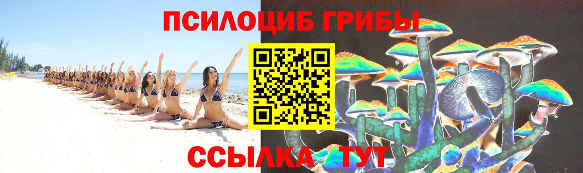 Псилоцибиновые грибы GOLDEN TEACHER Березники